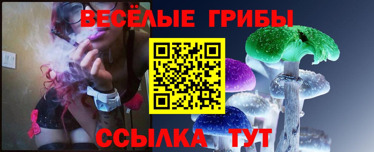 Псилоцибиновые грибы MAGIC MUSHROOMS Мытищи