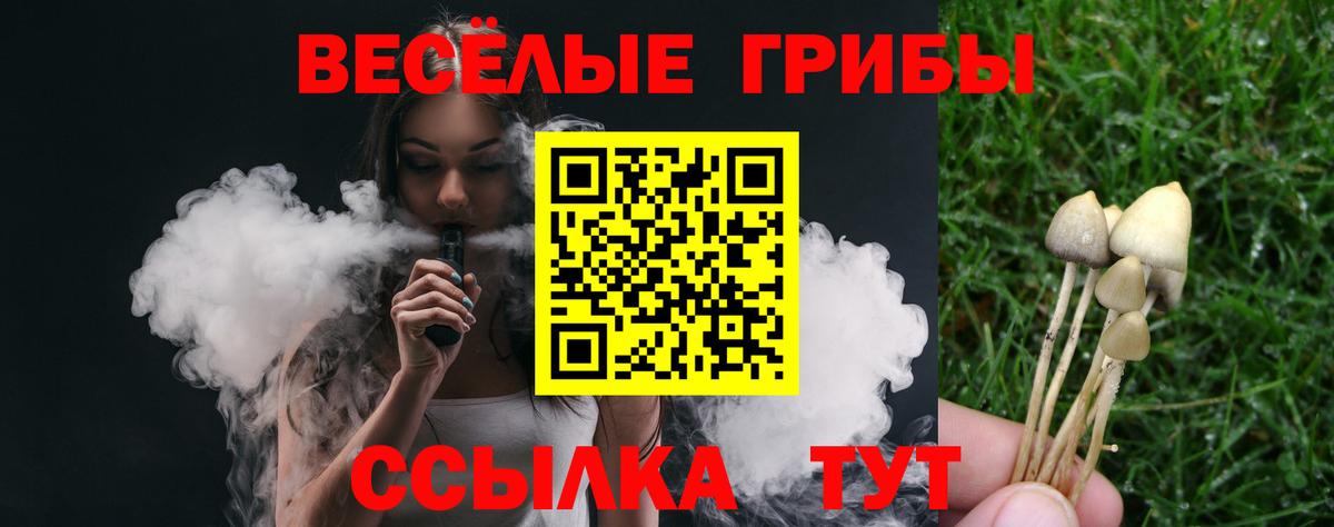 Галлюциногенные грибы мицелий  Вход с VPN  Галлюциногенные грибы мухоморы  Мытищи 